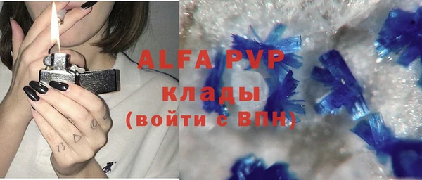 шишки Верхний Тагил