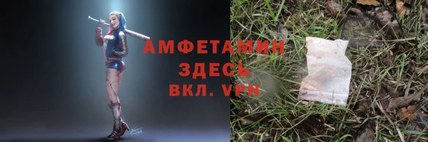 шишки Верхний Тагил