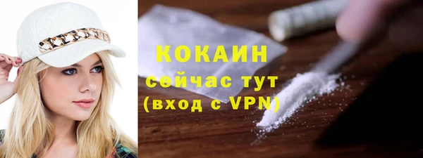 шишки Верхний Тагил