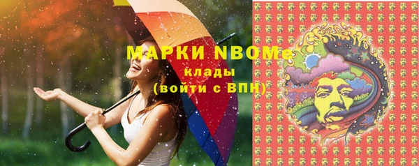 шишки Верхний Тагил