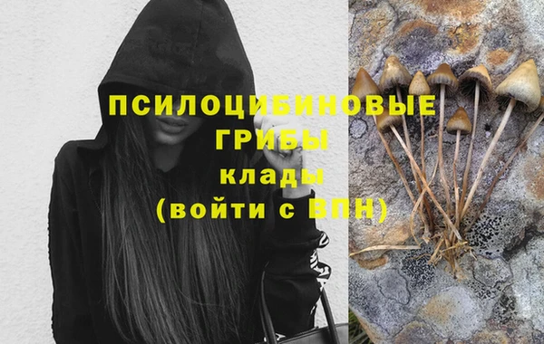 шишки Верхний Тагил