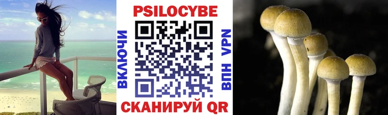Купить где  Торопец  Галлюциногенные грибы прущие грибы 